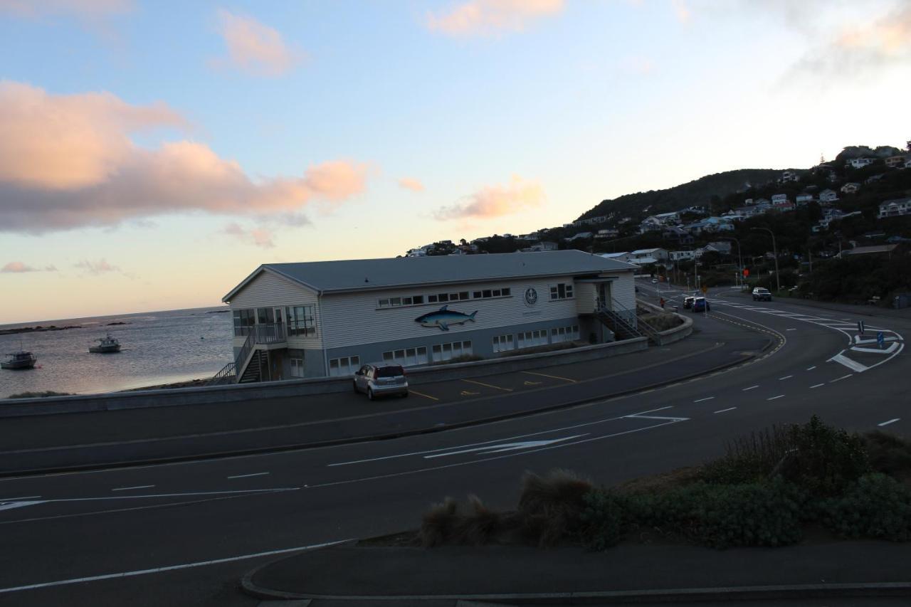 Modern & Cosy Studio Unit On Island Bay Beachfront Wellington Exterior photo